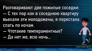 💎Заяц Подарил Волку...Большой Сборник Весёлых Анекдотов,Для Супер Настроения!