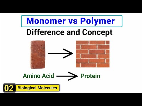 Wideo: Co to znaczy monomeryczny?