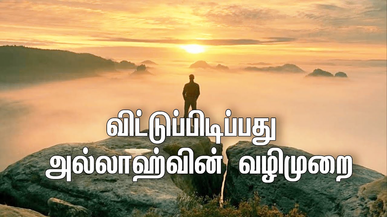 விட்டுப்பிடிப்பது அல்லாஹ்வின் வழிமுறை