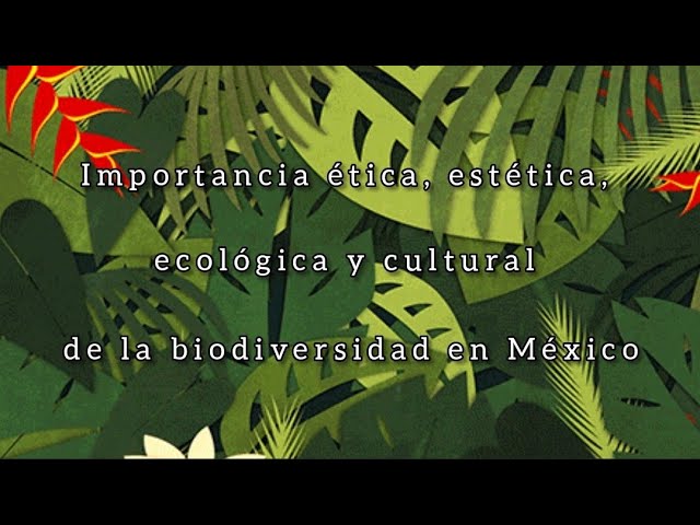 Biodiversidad. Importancia ética, estética, ecológica y cultural de la  biodiversidad de México. - YouTube
