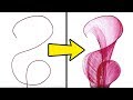 25 UNUSUAL DRAWING TRICKS