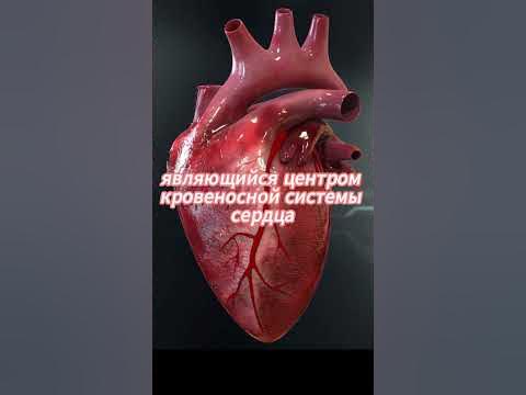 Шокирующие факты про то сколько стоят органы человека!!! #shorts #факты ...