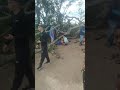 Árvore caiu e matou um homem em São Francisco