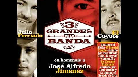 El Hijo Del Pueblo - Valentin Elizalde, Julio Prec...