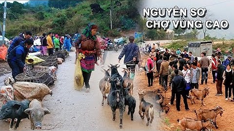 NGUYÊN SƠ GIẢN DỊ TÂY BẮC/ CỐC LY - BẮC HÀ - LÀO CAI/ CHỢ DÊ CỎ, LỢN CẮP NÁCH VÀ MÓN NGON ĐẶC BIỆT