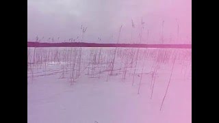 Поле, Трава, Снег