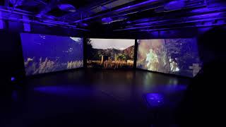 4Seasons Immersive Show - University of South Wales - Ctrl Suite #shorts