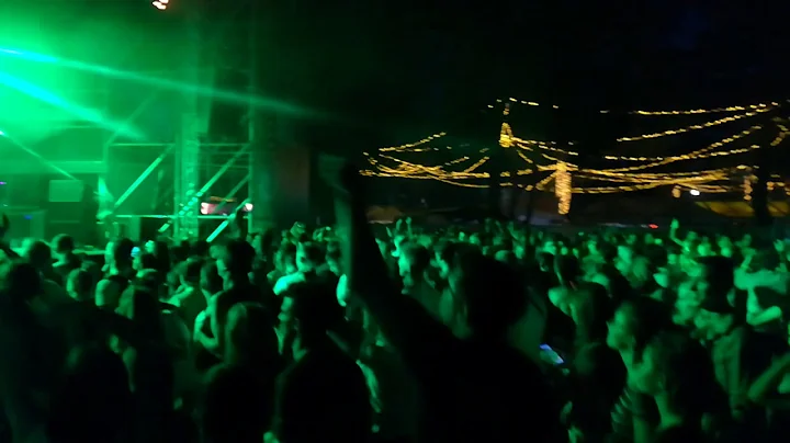 paddy and the rats freedom sziget 2018