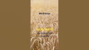 سوره بقره آیه ۳۸ #قرآن_کریم#دوستت_دارم_خدا#خدا #الهی_شکر#قرآن_حياتي#ترجمه_قرآن