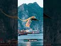 Where Dragons Created 2,000 Islands 🐉🌊 | Ha Long Bay, Vietnam