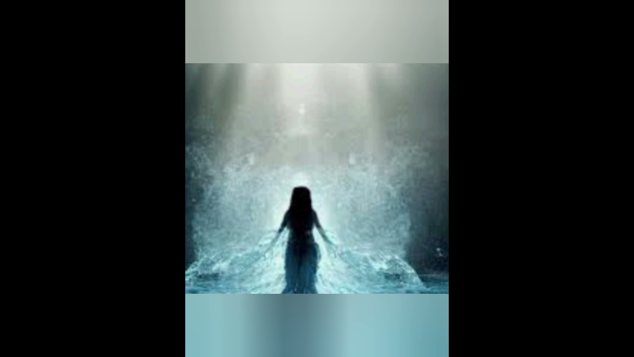 ΑΜΠΛΑΚΥ αχερόντισσα Blacky aherontissa