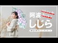きものふりく【阿波しじら】2021年新作無地のご紹介とコーディネート、撮影風景など