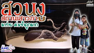 นั่ง MRT เที่ยวสวนงู สถานเสาวภา Snake Farm QSMI มาง่าย-ค่าเข้าถูกมาก Vlog OdNoon-อ๊อดนุ่น