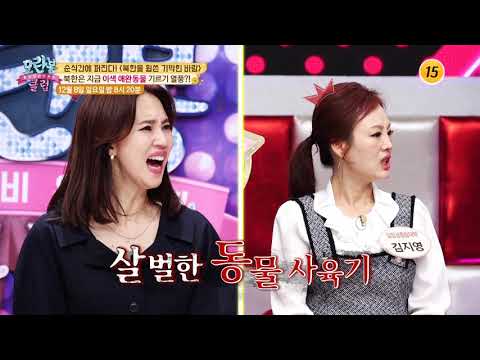 북한의 휩쓴 애완동물 열풍_모란봉 클럽 217회 예고