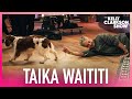 Dog Drags Taika Waititi Off-Stage At Kelly Clarkson Show