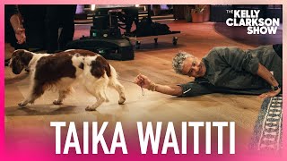 Dog Drags Taika Waititi Off-Stage At Kelly Clarkson Show