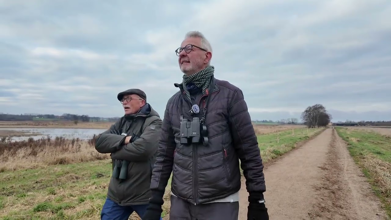 Søborg Sø - vandet stiger