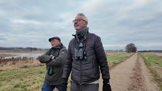 Søborg Sø - vandet stiger