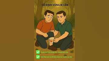 1 phút để cứu người bị rắn cắn