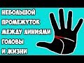 НЕБОЛЬШОЕ РАЗДЕЛЬНОЕ НАЧАЛО ЛИНИИ ГОЛОВЫ И ЖИЗНИ / хиромантия / Кладезь Хиромантии