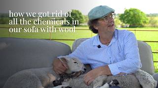 Sofa Companies Won't Stop Using Toxic Fire Retardants, Even When Wool Is The Best Option Sofa Companies Won't Stop Using Toxic Fire Retardants, Even When Wool Is The Best Option