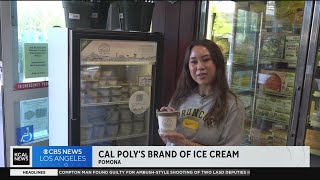 Cal Poly students team up with local business to create unique ice cream made from avocado