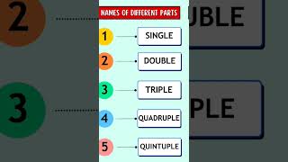 Do you know the names for different parts learnenglish vocabulary class6