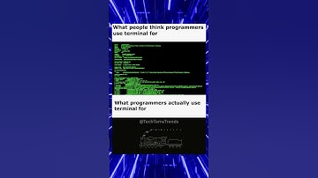 Programmer vs Terminal #memes #funny #viral #shorts #tech #ai #cats #cute #pets #coding #gaming #fyp