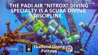 4 Reasons Why Nitrox Padi Enriched Air Specialty Training Should Be Your Next Specialty