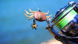 AMAZING Bream Fishing! Using Cranka Crab Lures!
