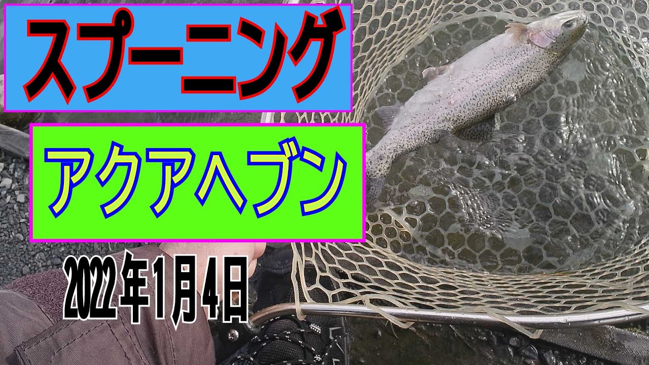 アクアヘブン　スプーニング　令和4年1月4日