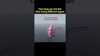 How long can one live without different organs