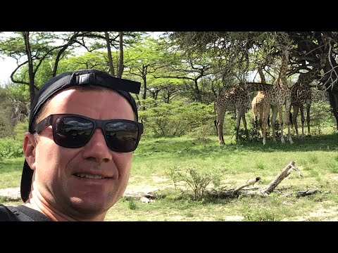 Video: Izleti u Tanzaniji