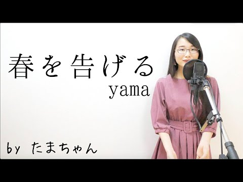 春を告げる / yama(たまちゃん,Tamachan)【歌詞付(概要欄) / フル(full cover) / 女子大生が歌ってみた 】