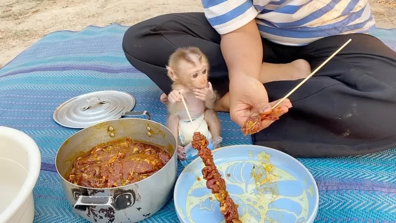 The Tiny Assistant BB DAM Help Mom Making BBQ For Family Dinner