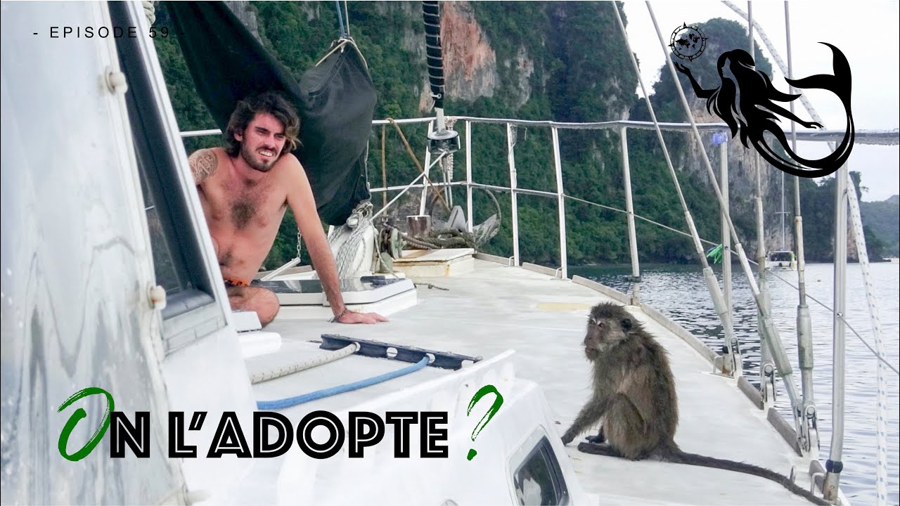 A New SURPRISE  Animal  ONBOARD ?! // Ep. 59