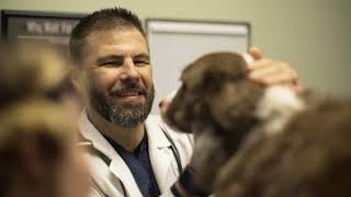 Legacy Veterinary Hospital - No Wait No Worries // Lemonlight Media