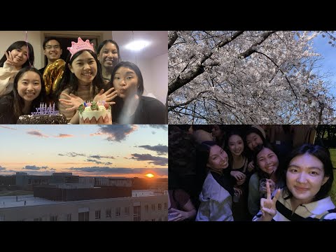 (eng sub) 美國留學vlog | 畢業前的日常/在Six Flags被騙?/很多的最後