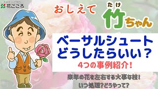 【どうしたらいい？】ベーサルシュートの処理4事例【教えて竹ちゃん】