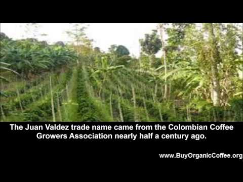 coffee-from-colombia