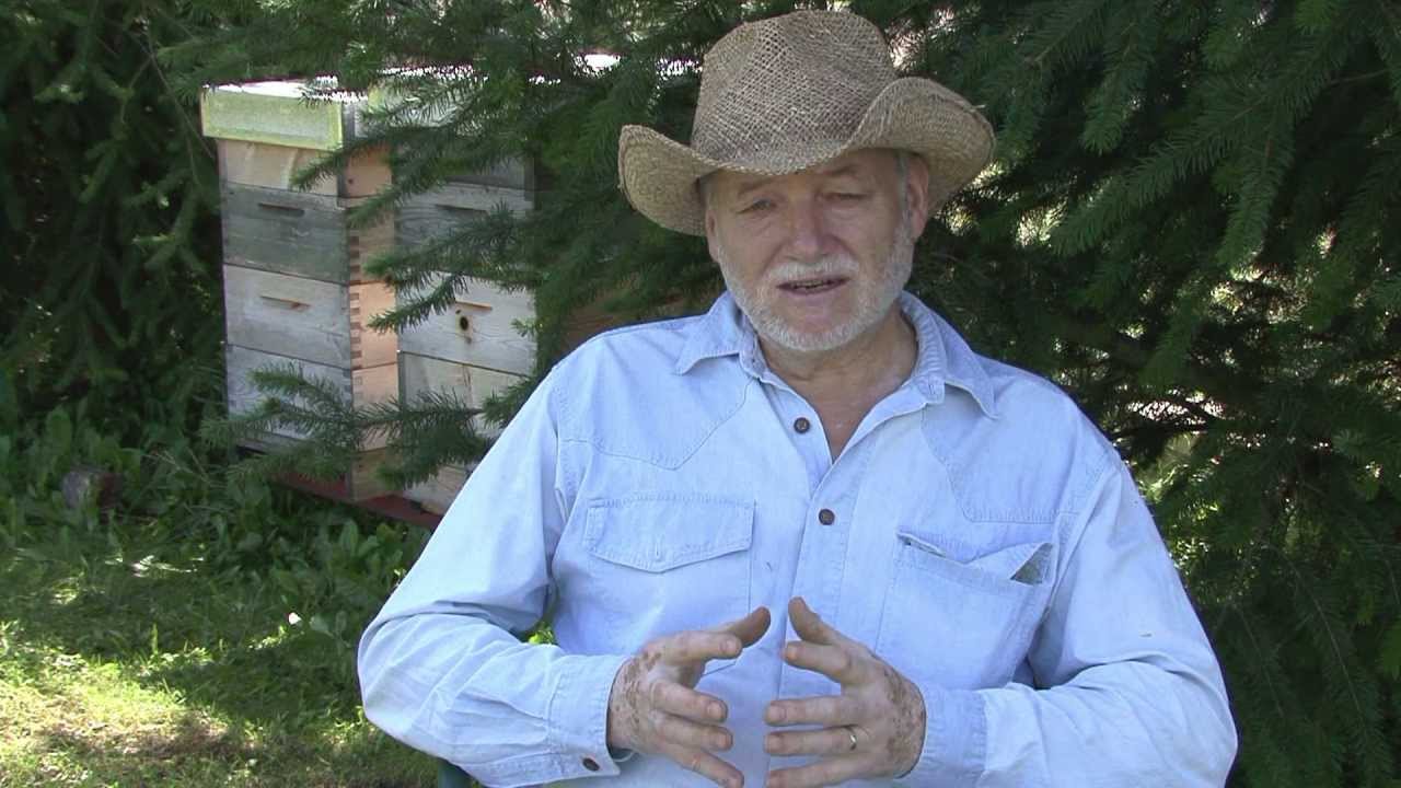 Petr Texl - VSH (Varroa Sensitive Hygiene)