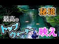 【映え好き全員集合】三瀬谷ダム！最高のロケーションでトップウォーターゲームを楽しむ！