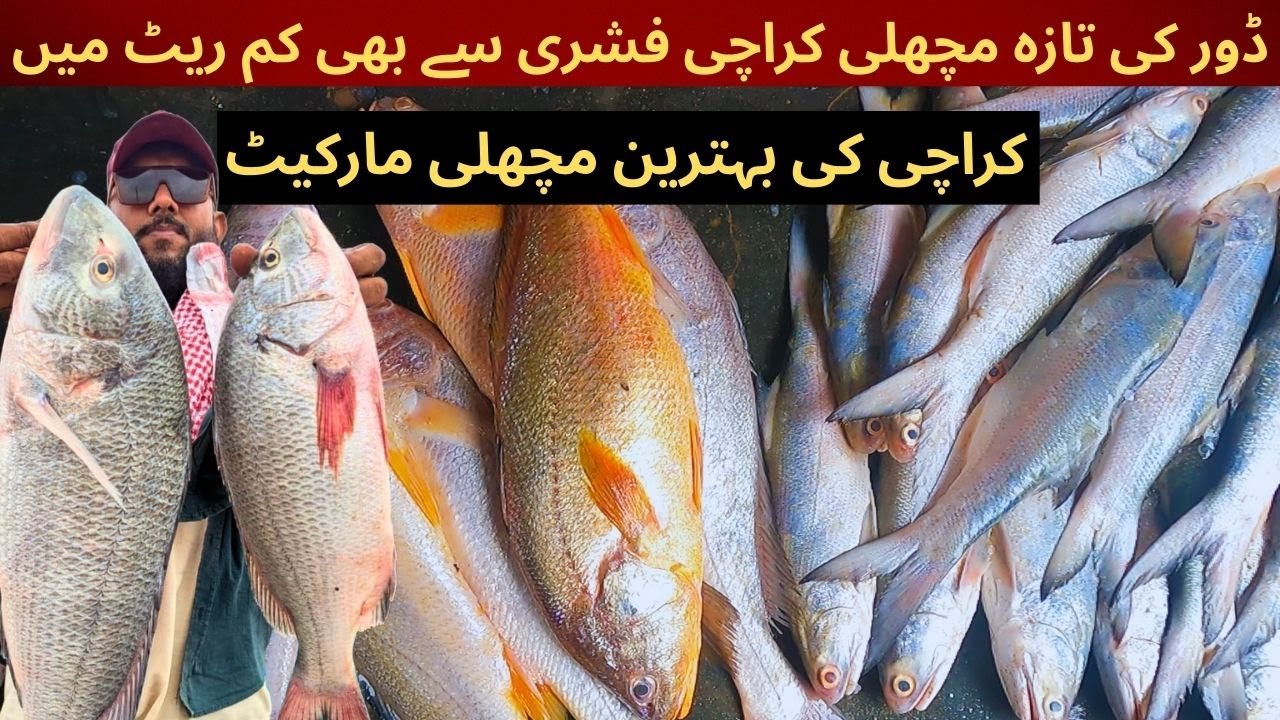 Karachi Ki Sab Se Bhtreen Or Sasti Fish Market | Korangi 100 QTR Fish Market | Karachi Fishery 2025