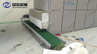 Herb Mesh Belt Dryer From Guoxin Machinery