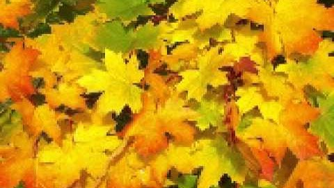 Regret Minimization and Game Theory - Game Theoretic Model (Practice)