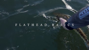 How to Catch Flathead on Soft Plastics
