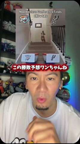 【NBA】全試合の勝敗を當てるワンコ🐕🏀