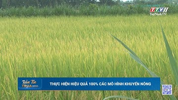 Thực hiện hiệu quả 100% các mô hình khuyến nông | TayNinhTV