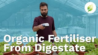 Sustainable Farming - Organic Fertiliser From Biogas Plant Residue