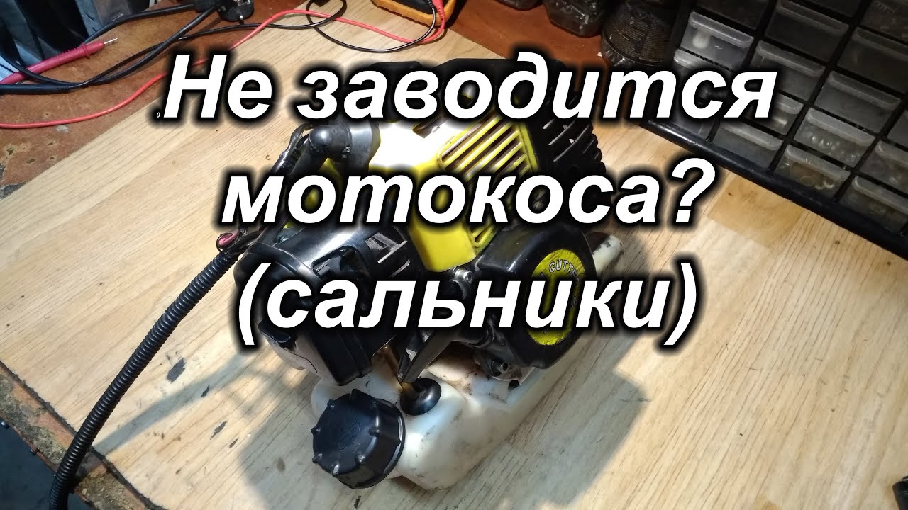 Звук заводится бмв